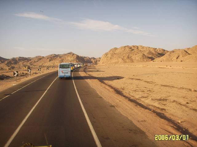 photo27.jpg