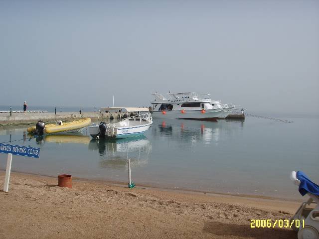 photo3.jpg
