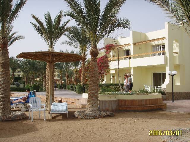 photo4.jpg