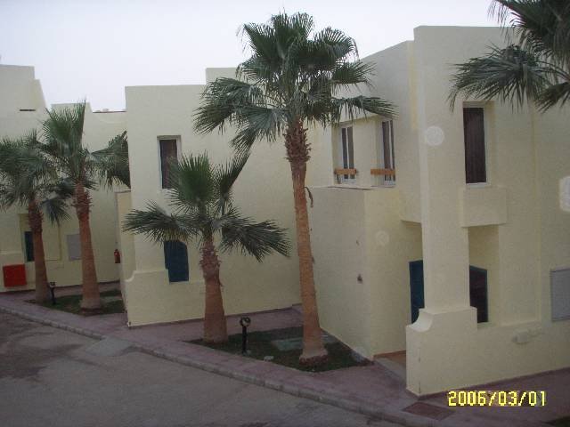 photo8.jpg