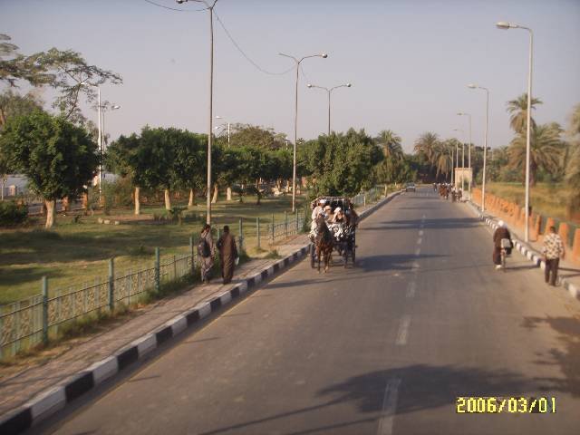 photo94.jpg