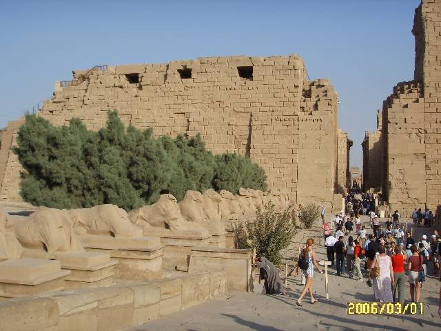 photo97.jpg