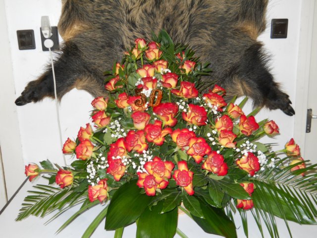 photo2.jpg