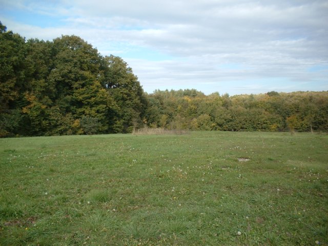 dscf0008.jpg