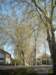 dscf0201_small.jpg