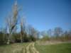 dscf0202_small.jpg