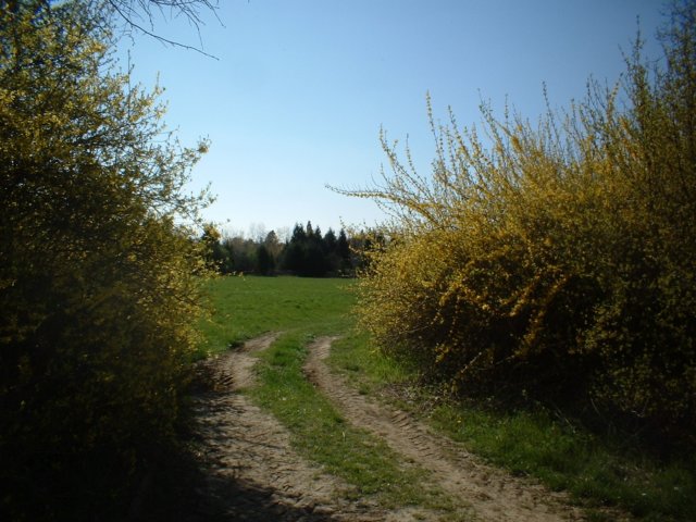 dscf0204.jpg