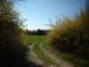 dscf0204_small.jpg
