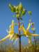 dscf0205_small.jpg