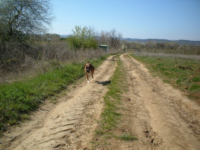 dscf0206.jpg