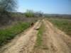 dscf0206_small.jpg
