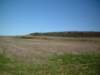 dscf0207_small.jpg