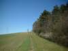 dscf0208_small.jpg