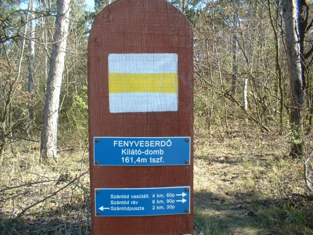 dscf0313.jpg