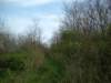 dscf0335_small.jpg