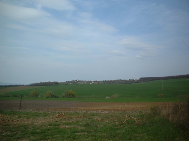dscf0336.jpg