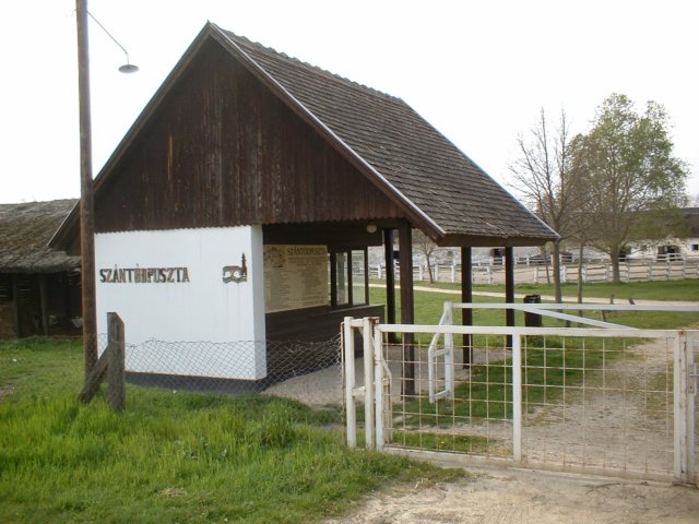 dscf0339.jpg