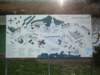 dscf0344_small.jpg
