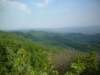 dscf0451_small.jpg