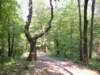 dscf0454_small.jpg