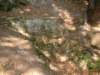 dscf0458_small.jpg