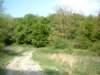 dscf0461_small.jpg
