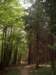 dscf0465_small.jpg