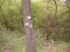 dscf0468_small.jpg