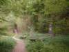 dscf0473_small.jpg