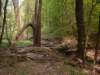 dscf0475_small.jpg