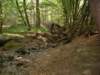 dscf0477_small.jpg
