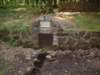 dscf0478_small.jpg