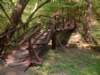dscf0479_small.jpg