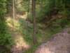 dscf0481_small.jpg