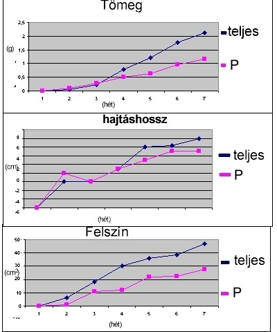 novastap12.jpg