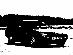 Gigascreen black and white tritone
